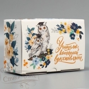 00088044586   ,   22*15*10  - alisa-opt.ru - 