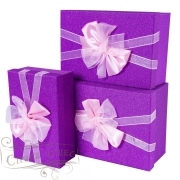 00088011747   "" 23*16*9.5, 21*14*8, 19*12*6.    3 - alisa-opt.ru - 