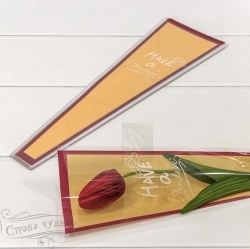 00088030316 Пакет конус для цветов Красная рамка 12,5*4*40см 30шт/уп 45мкм - alisa-opt.ru - Екатеринбург
