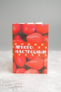-07 -   " !" () - alisa-opt.ru - 